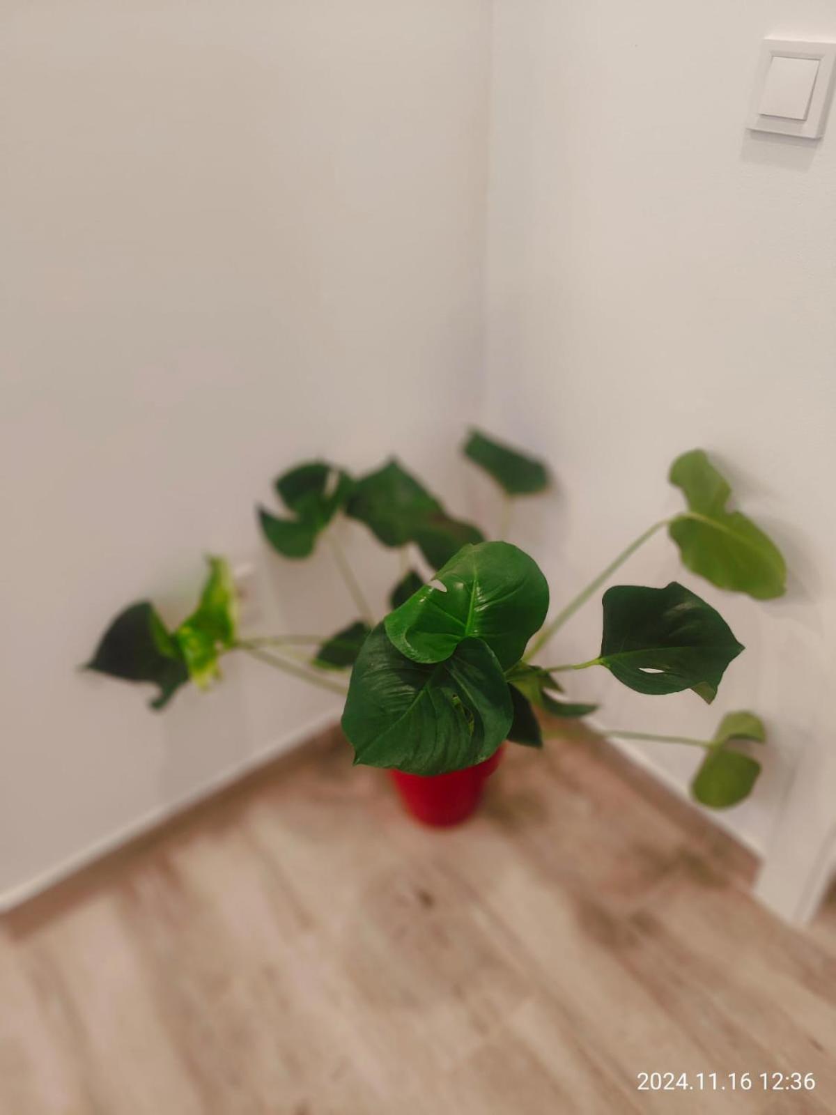 Apartament Seville In Alameda De Hercules Exteriör bild